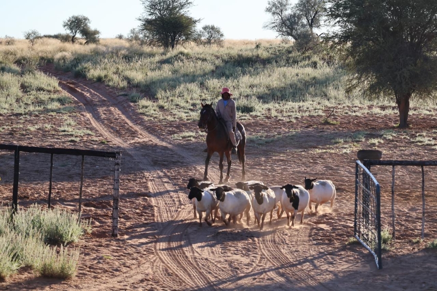 Commercial Property for Sale in Upington Rural Northern Cape